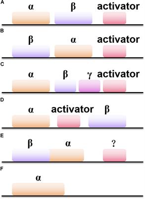 Recent Advances and Promises in Nitrile Hydratase: From Mechanism to Industrial Applications